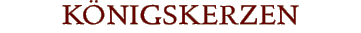 K�NIGSKERZEN